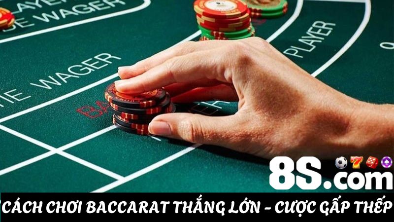 cách chơi Baccarat thắng lớn - cược gấp thếp
