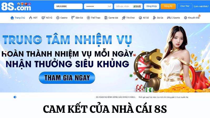 giới thiệu 8S về các cam kết